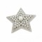 Stern Star Magnet Brosche mit Perlen Ponchohalter Schalhalter